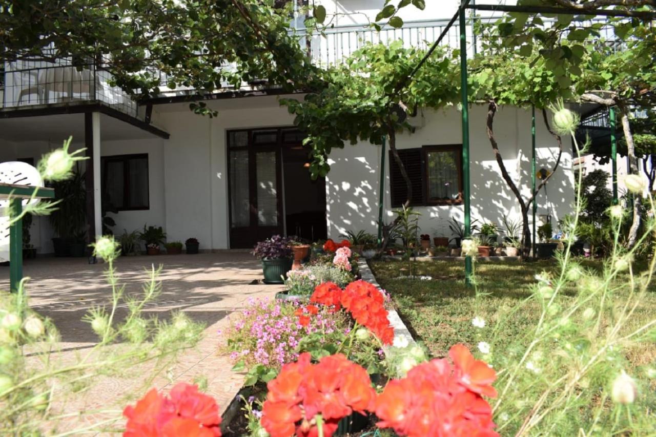 Apartments Marina Bečići Eksteriør billede