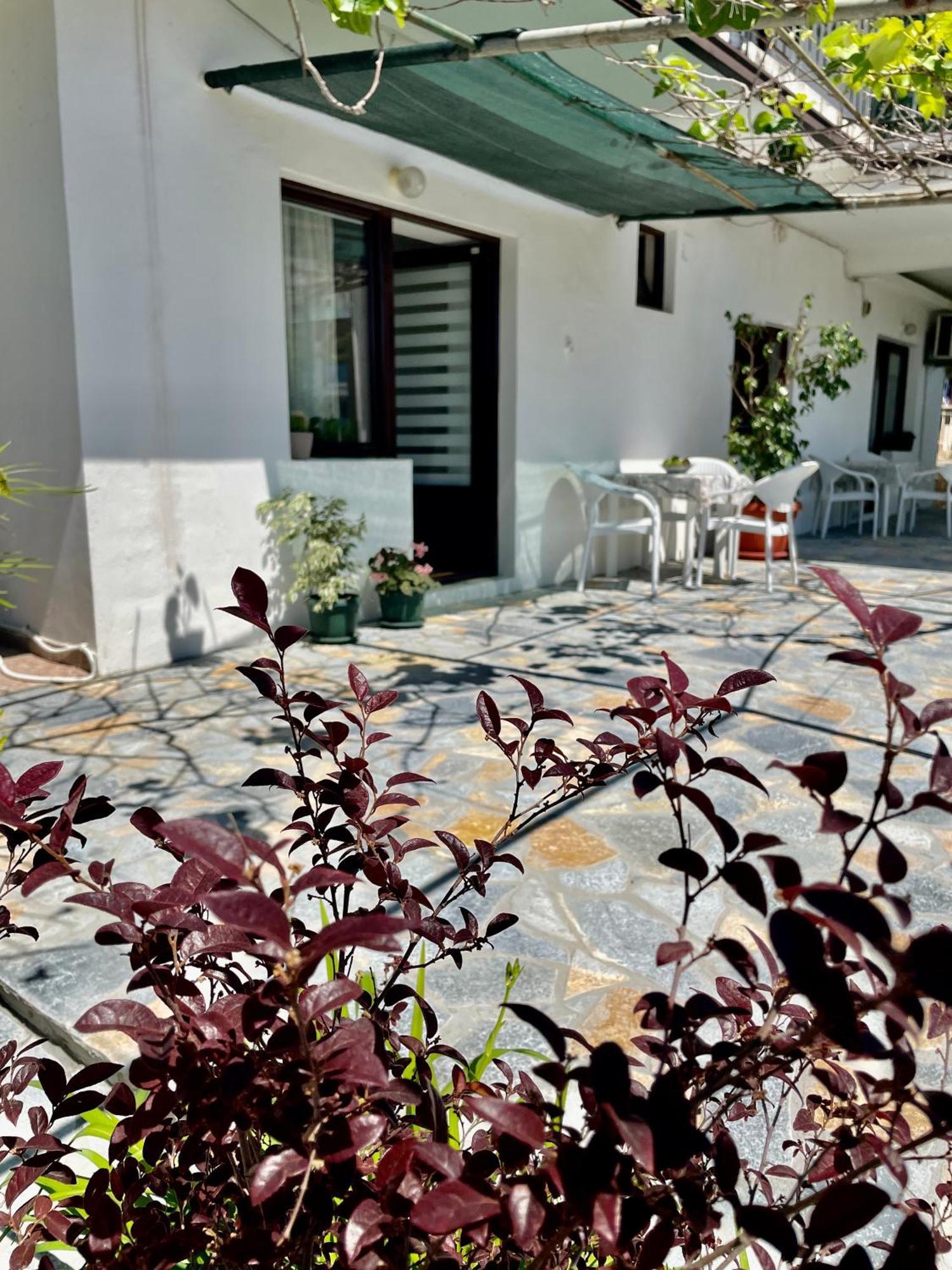 Apartments Marina Bečići Eksteriør billede