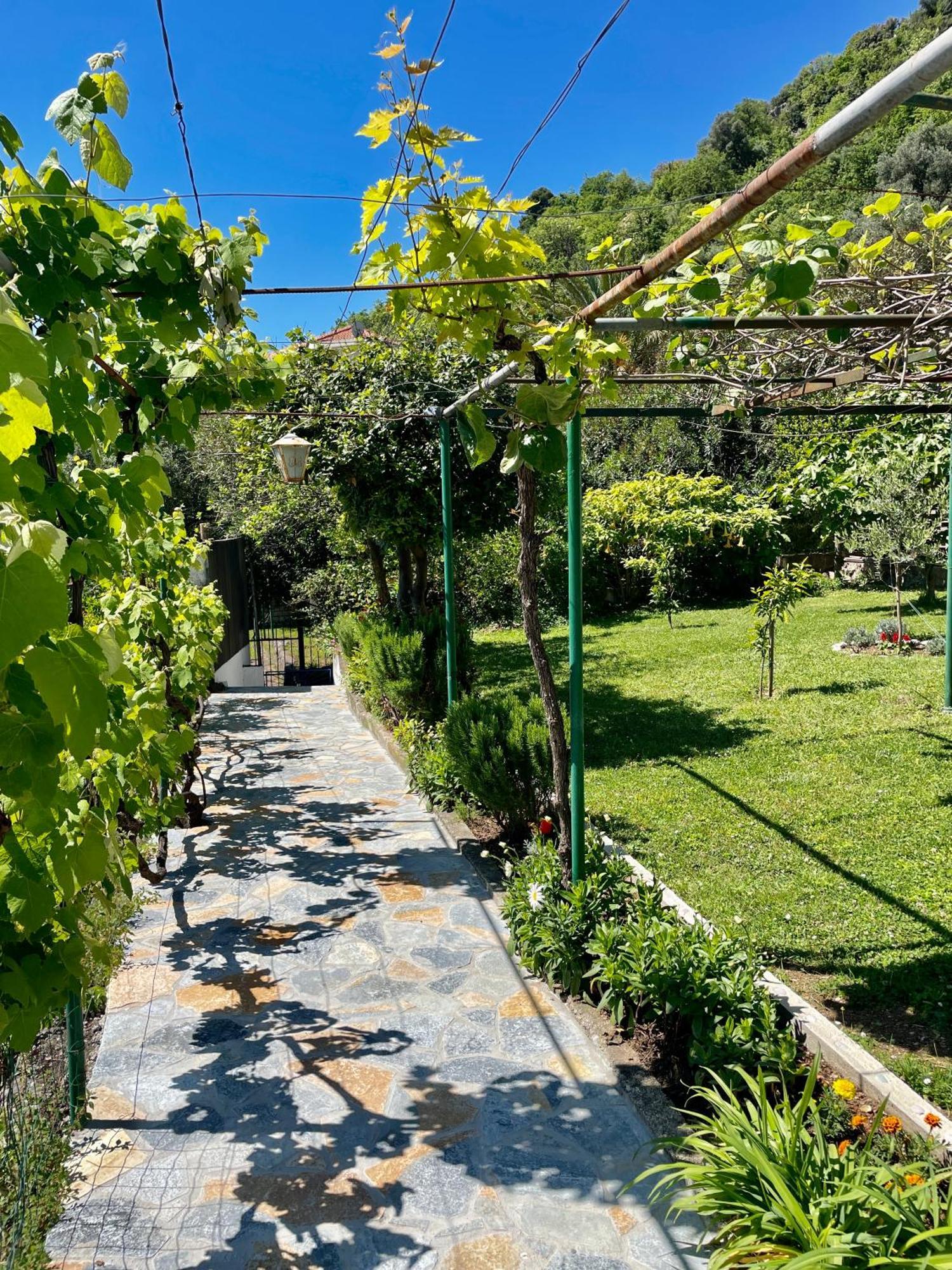 Apartments Marina Bečići Eksteriør billede